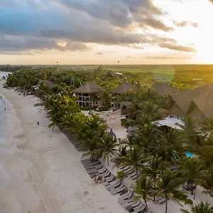 Hotel Mia Tulum Beachfront Resort - Ocean View Suites And Beach Club